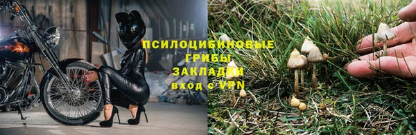 ПСИЛОЦИБИНОВЫЕ ГРИБЫ Алексин