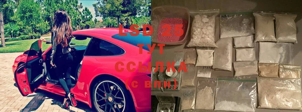 спиды Алзамай