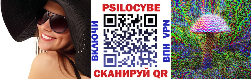 мега сайт  Моздок  Псилоцибиновые грибы Magic Shrooms  цены  